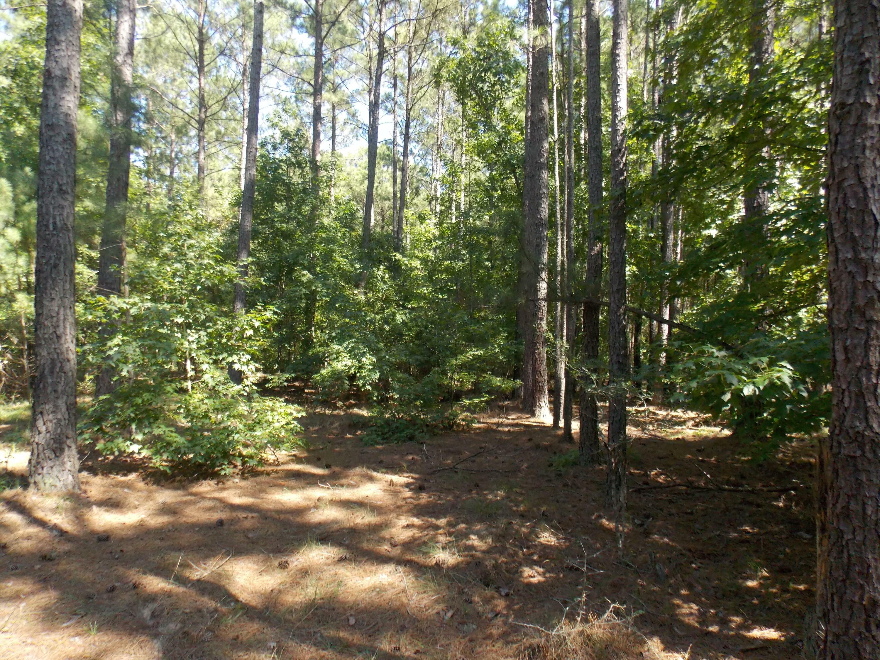 Property Photo:  73 Maiden Cane Way  GA 30817 