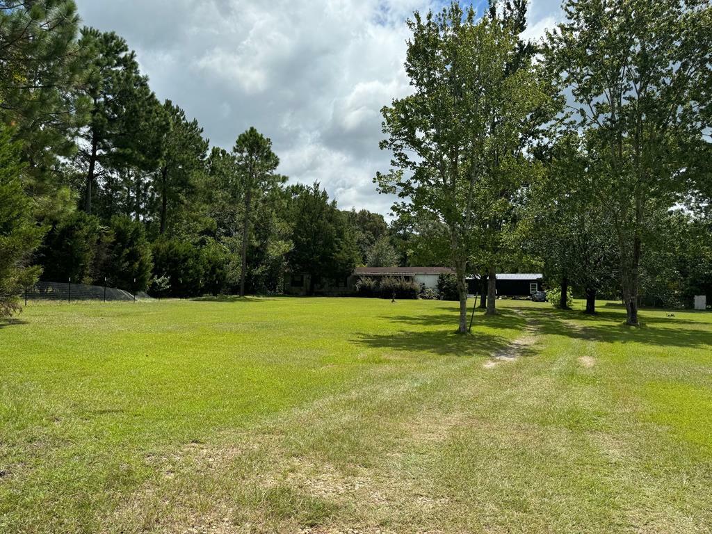 352 Pine Forest Road  Ochlocknee GA 31773 photo