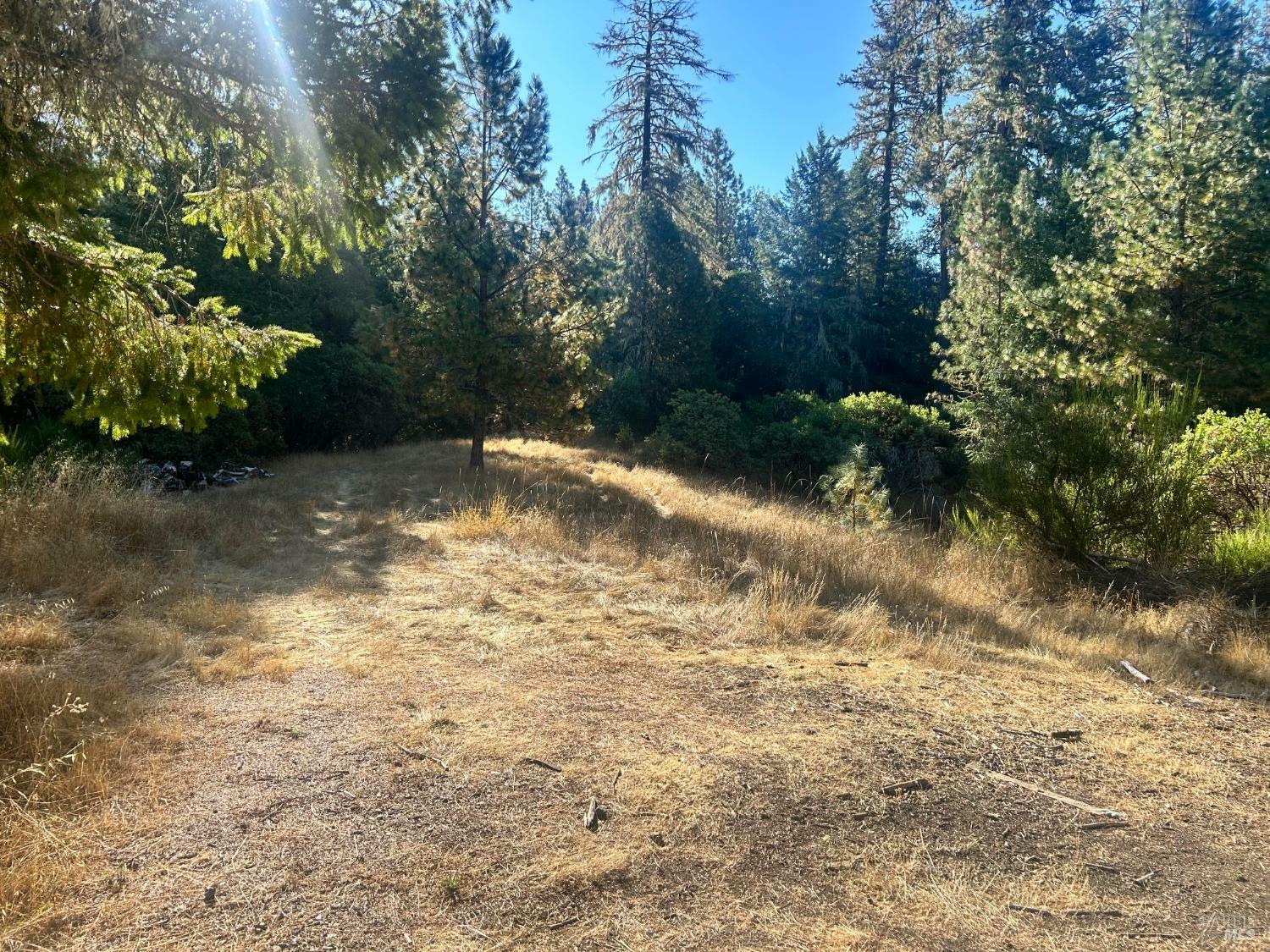 Property Photo:  885 Easthill Road  CA 95490 