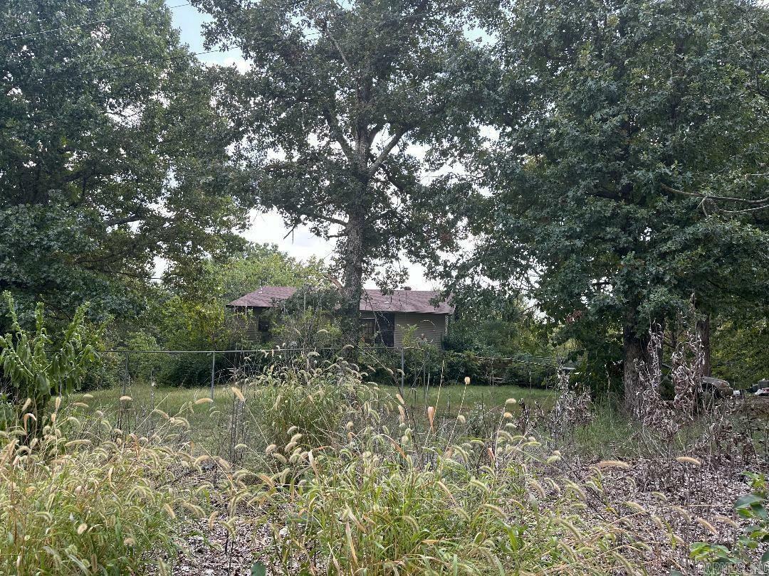 Property Photo:  20 Woodside Lane  AR 72634 