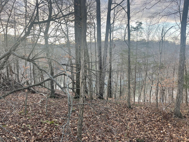 Property Photo: Lot 82 Pleasant View KY 42544