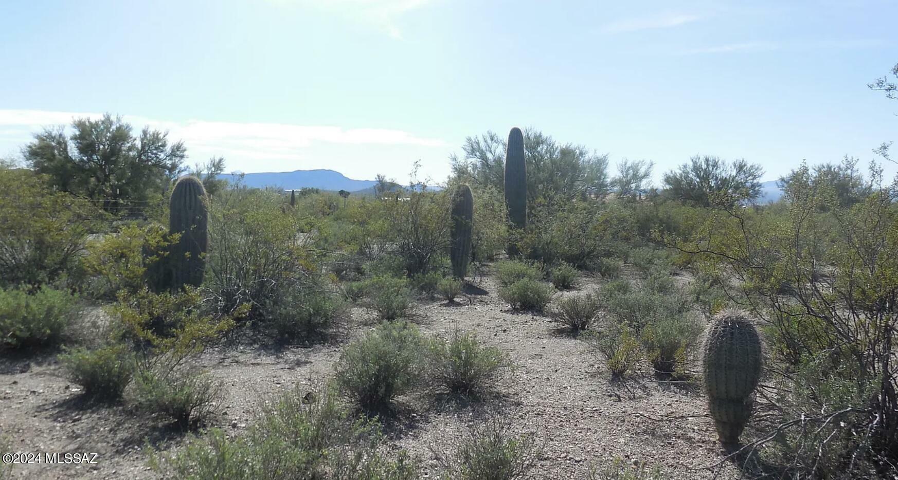 Property Photo:  5625 W Bopp Ranch Road None  AZ 85735 