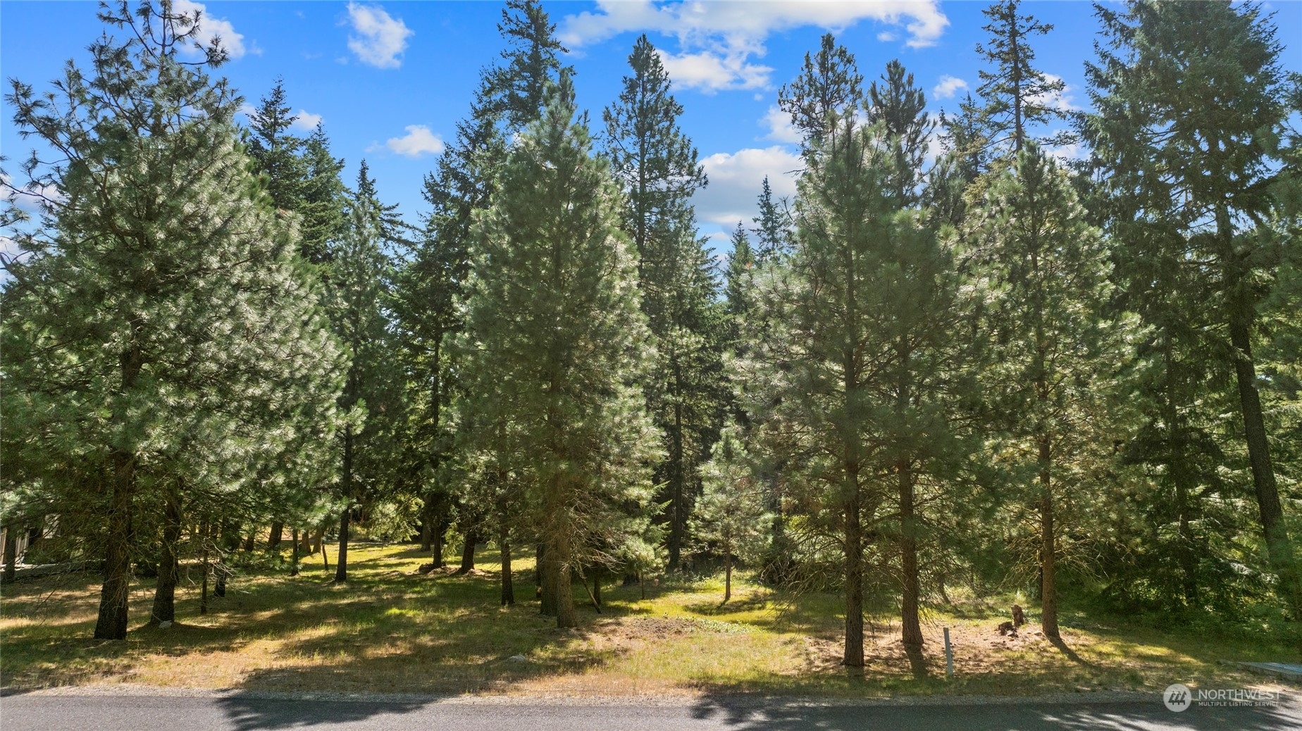 Property Photo:  951 Snowberry Loop  WA 98922 