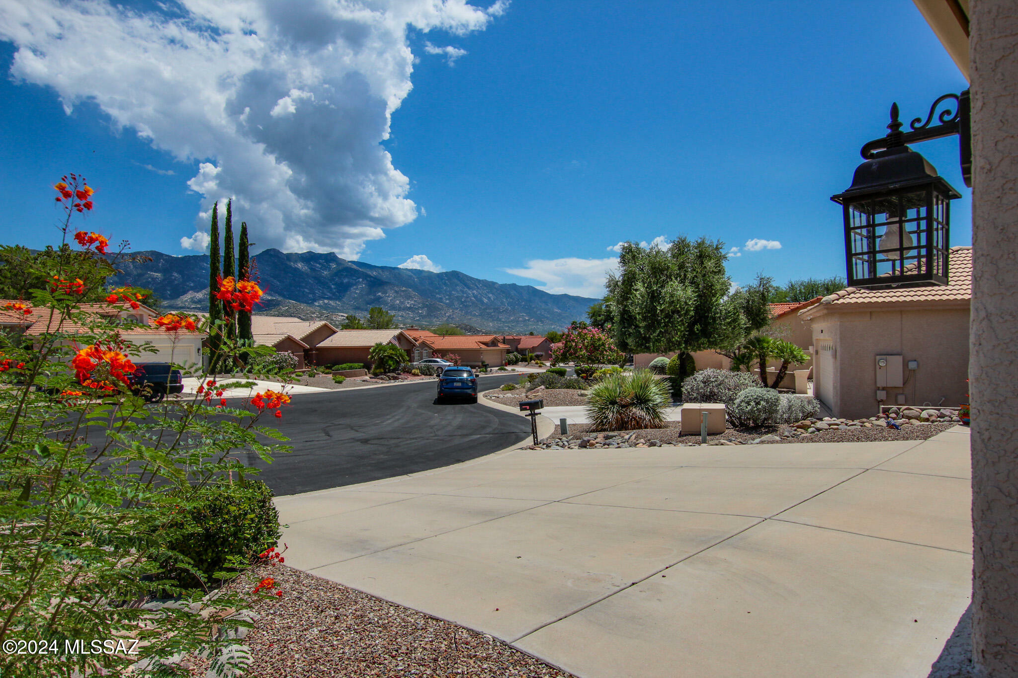 Property Photo:  37884 S Cypress Court  AZ 85739 