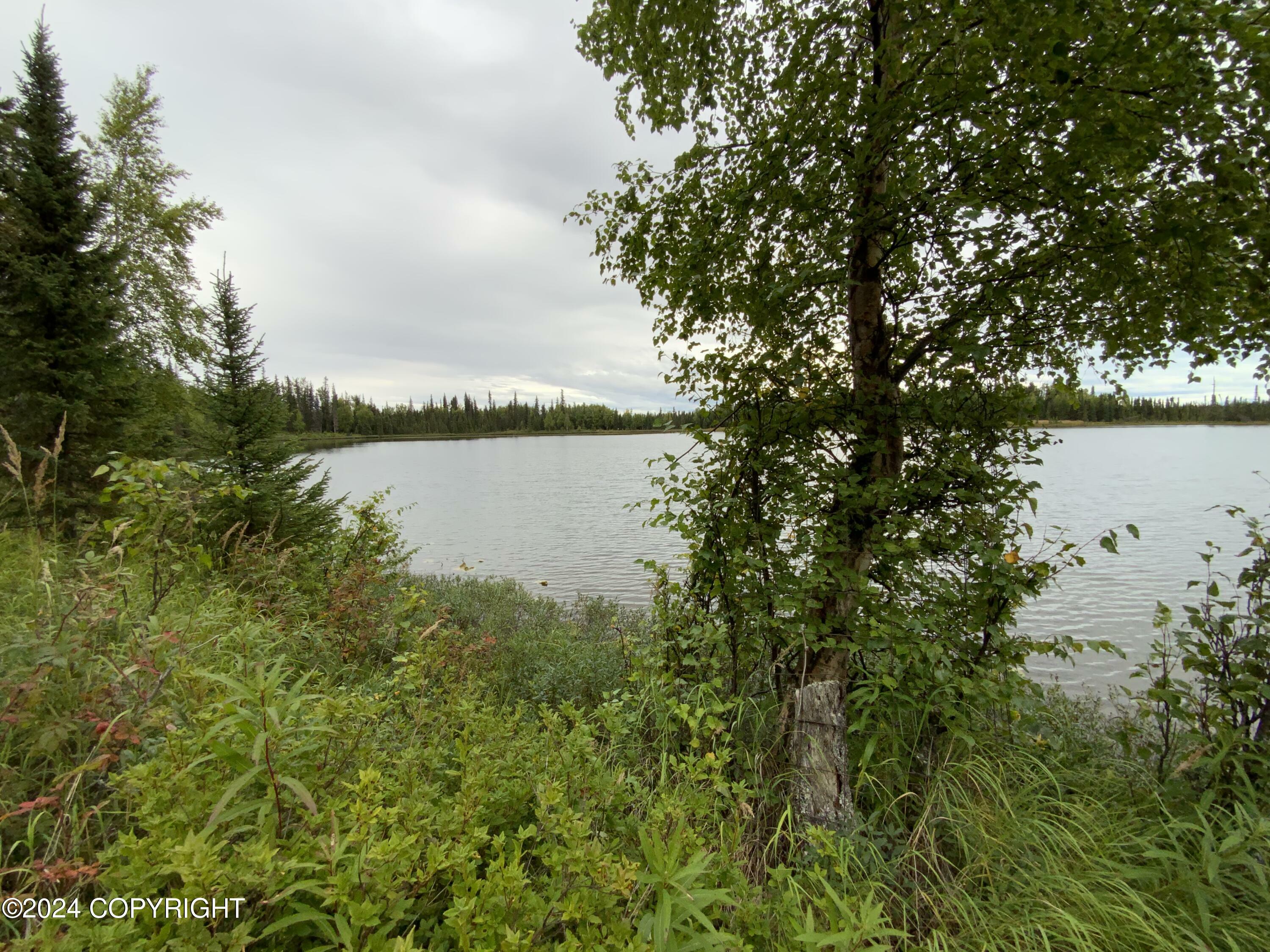 Property Photo:  49100 Chuck Martin Road  AK 99669 