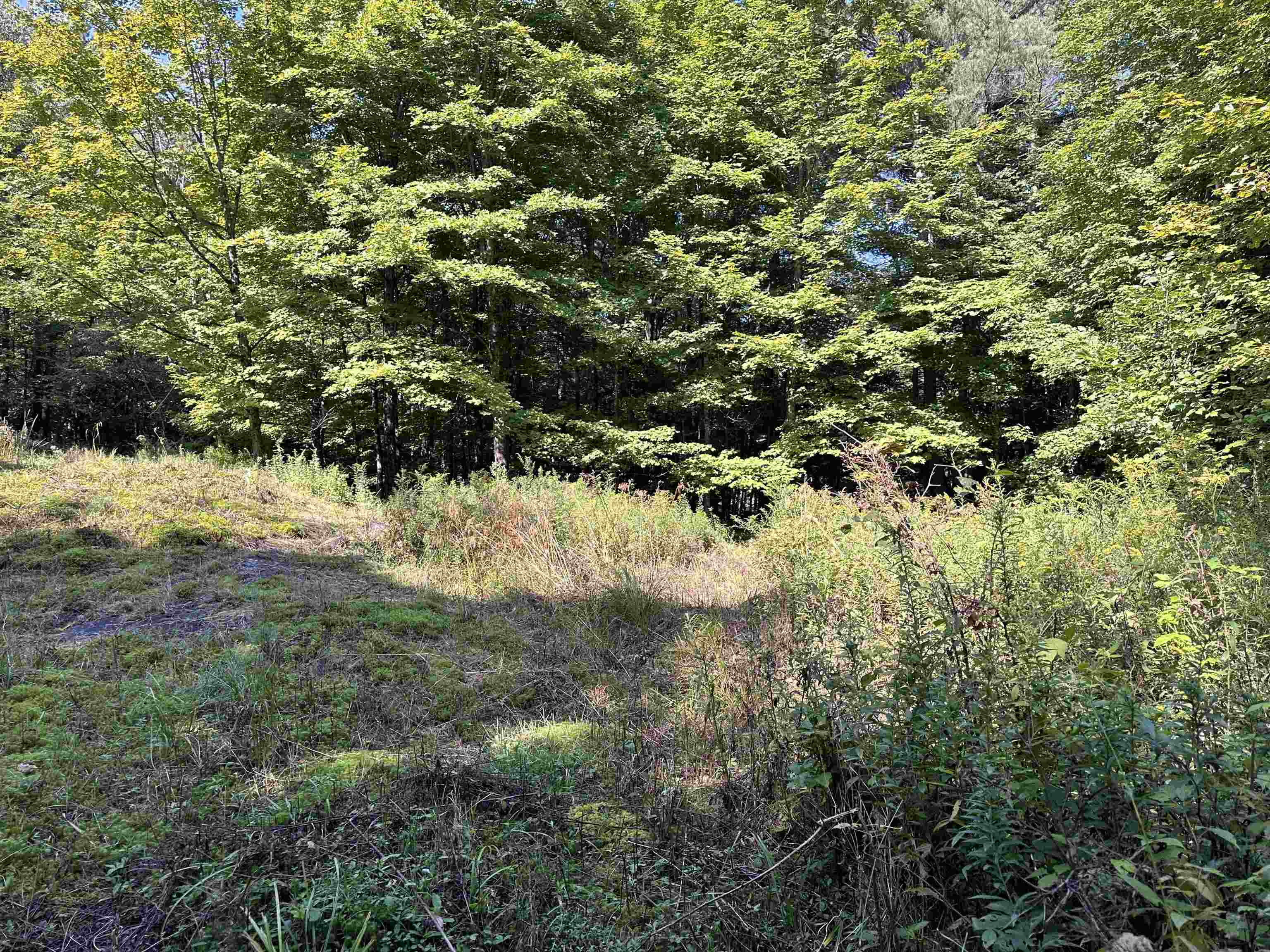 Property Photo:  00 Wilson Road  NY 13625 