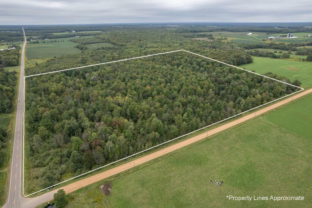 Property Photo:  40 Acres Corning Road  WI 54452 