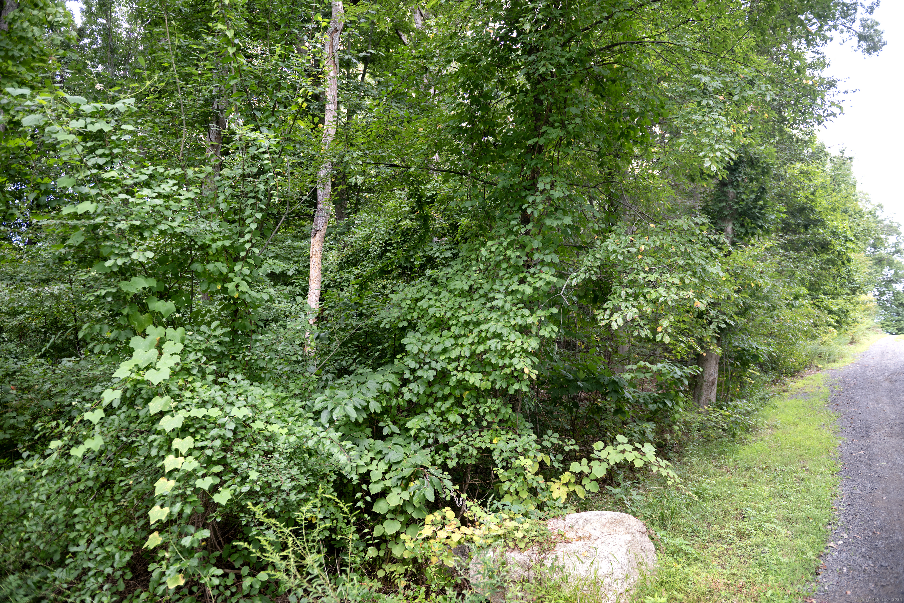 86 Pine Orchard Road  Branford CT 06405 photo