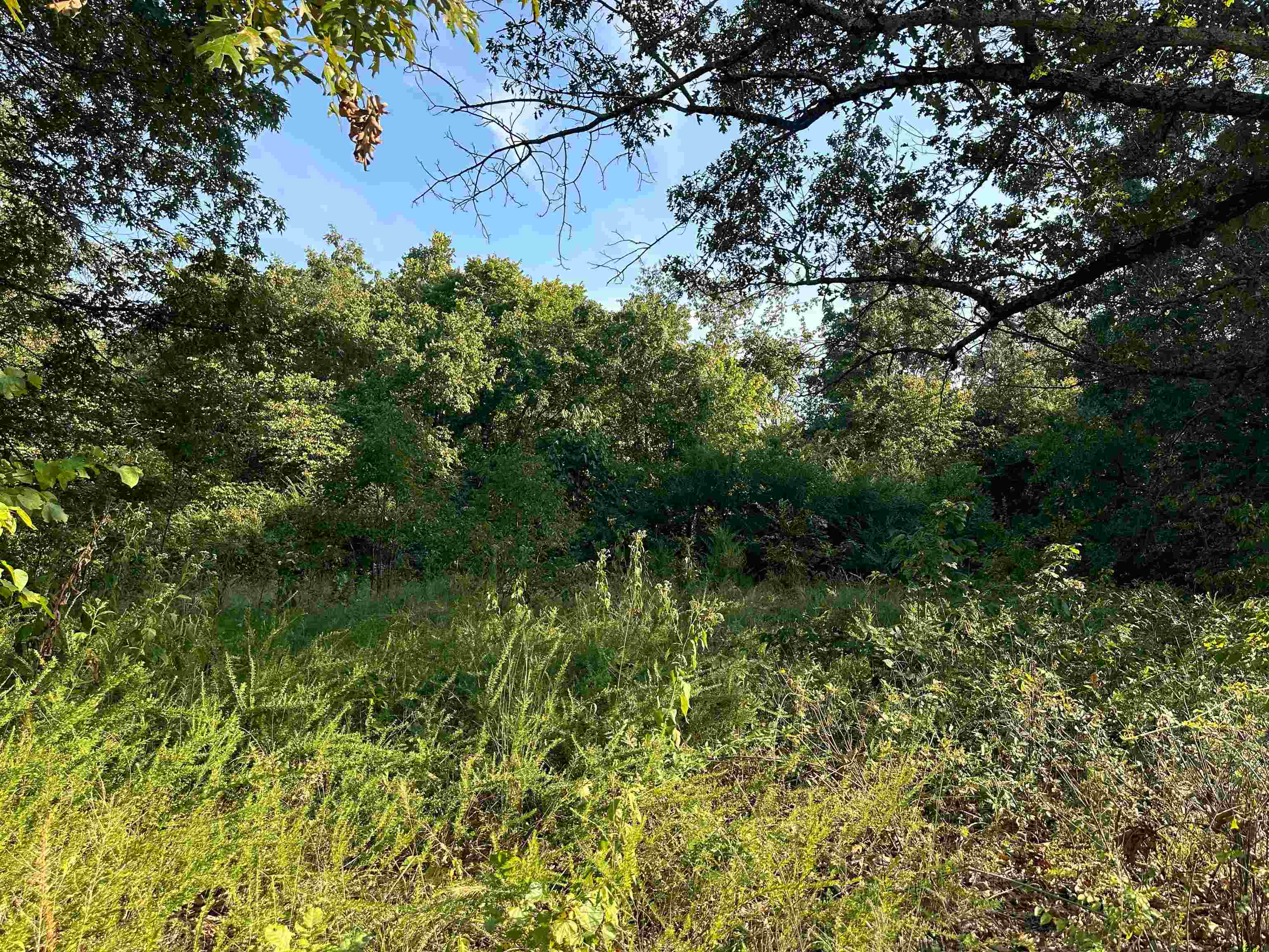 Property Photo:  0 63 Highway  AR 72542 