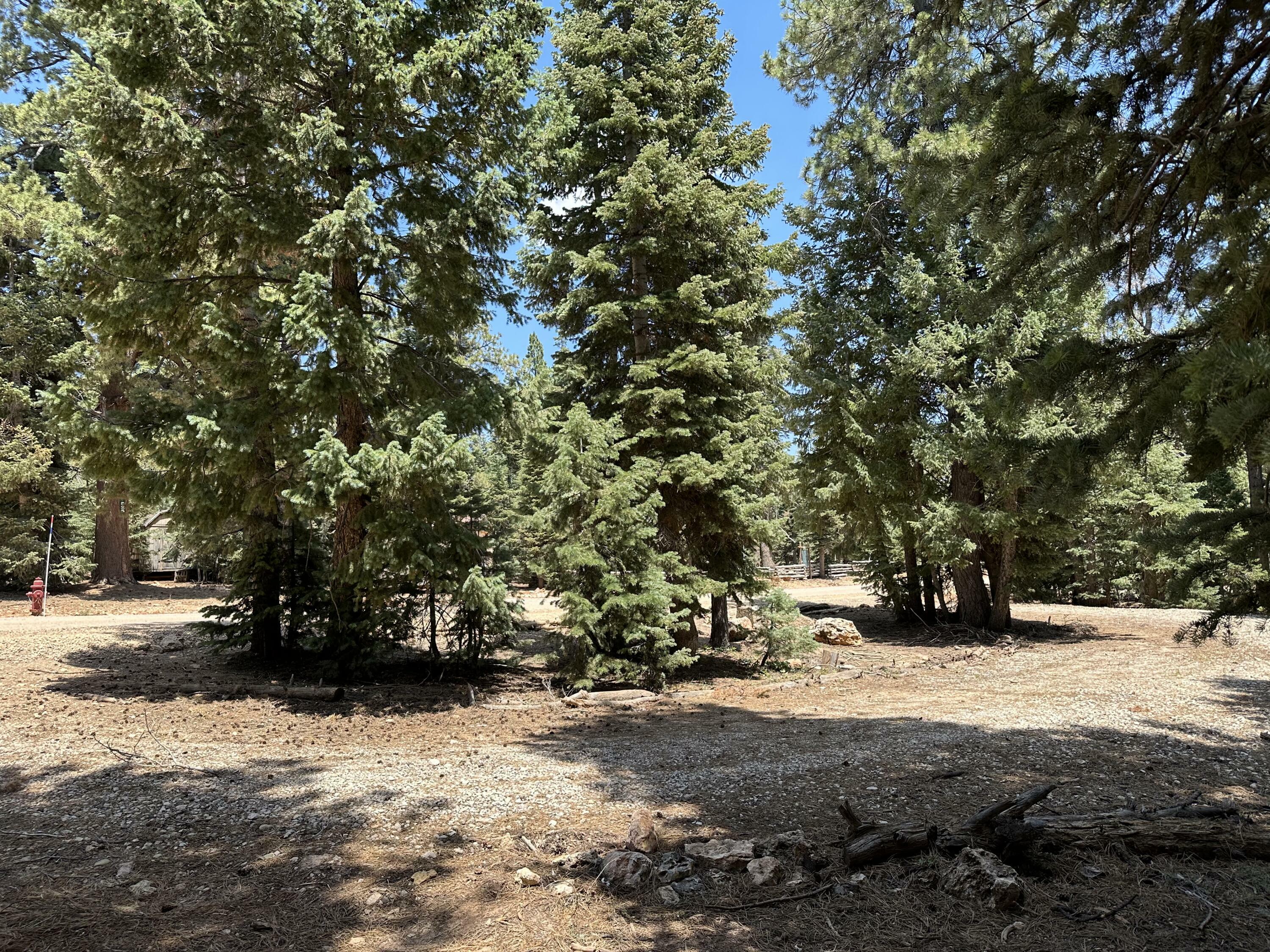 Property Photo:  530 E Forest Dr  UT 84762 