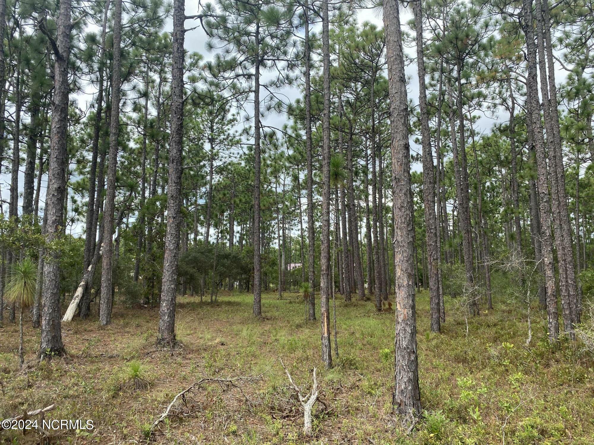 Property Photo:  5 Lots Madison/Monroe Road  NC 28461 