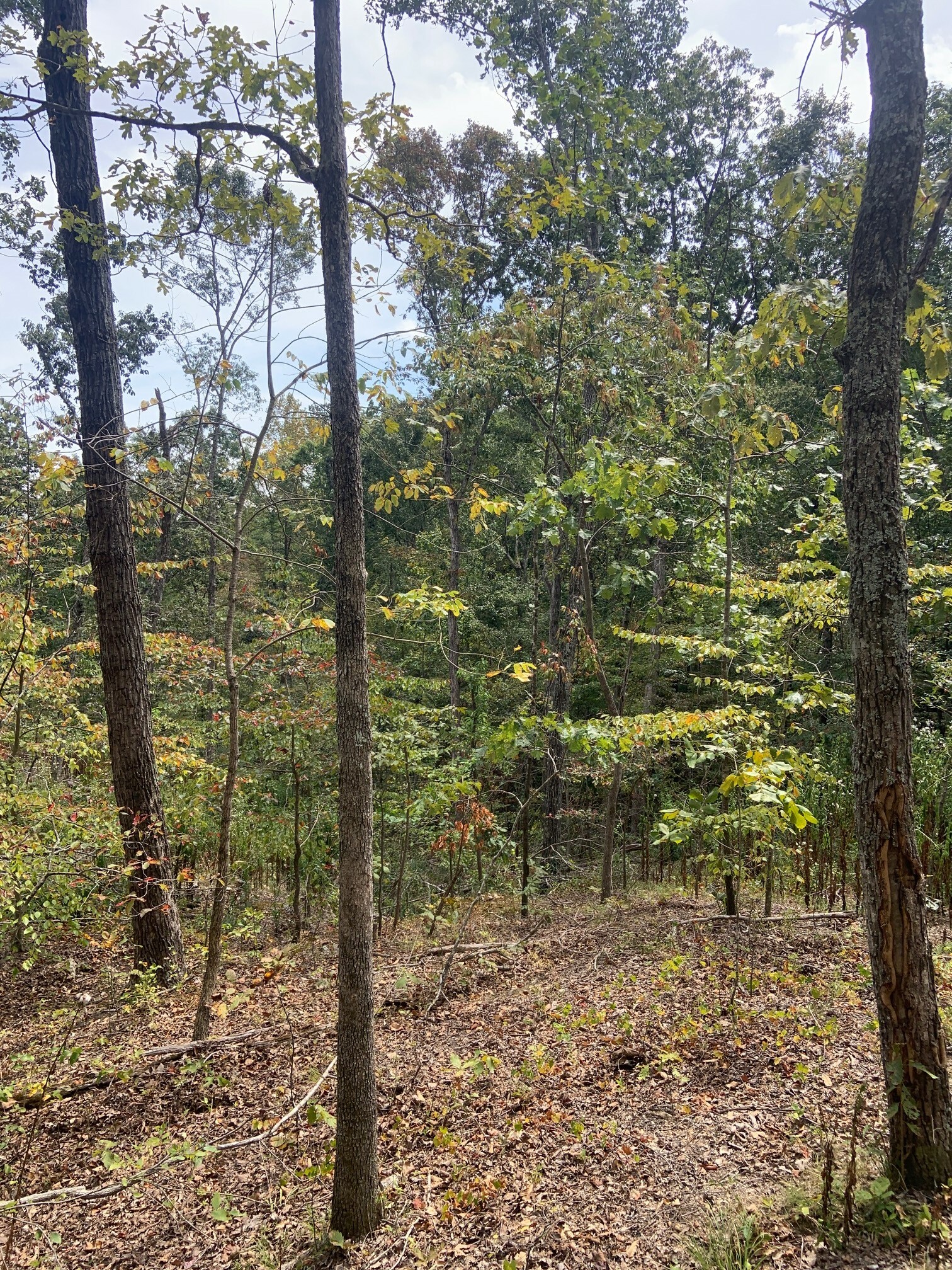 Property Photo:  0 Rocky Point Rd  TN 37175 