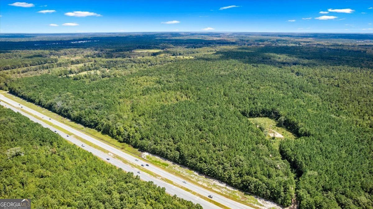 Property Photo:  262.44 Ac Leroy Coffer Highway  GA 31309 