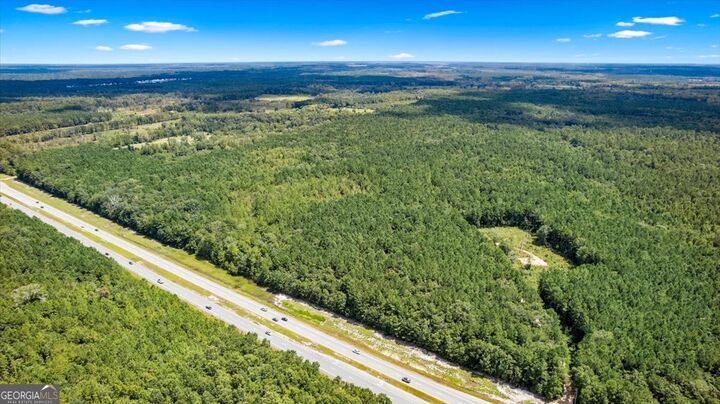 Property Photo: 262.44 Ac Leroy Coffer Highway GA 31309