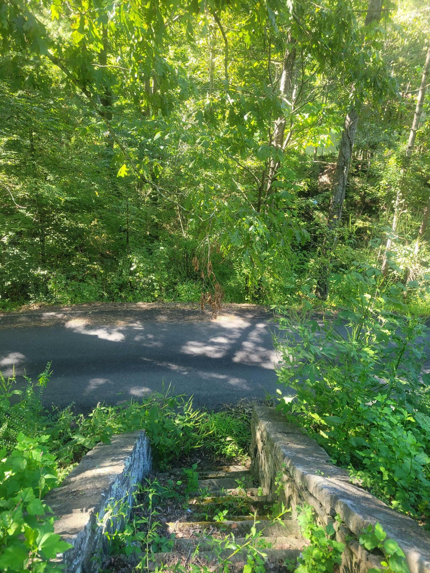 Property Photo:  573 Hurricane Creek Road  KY 41749 