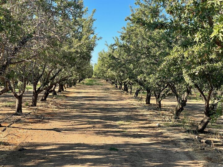 0 Por Sec13t13n R2w  Arbuckle CA 95912 photo