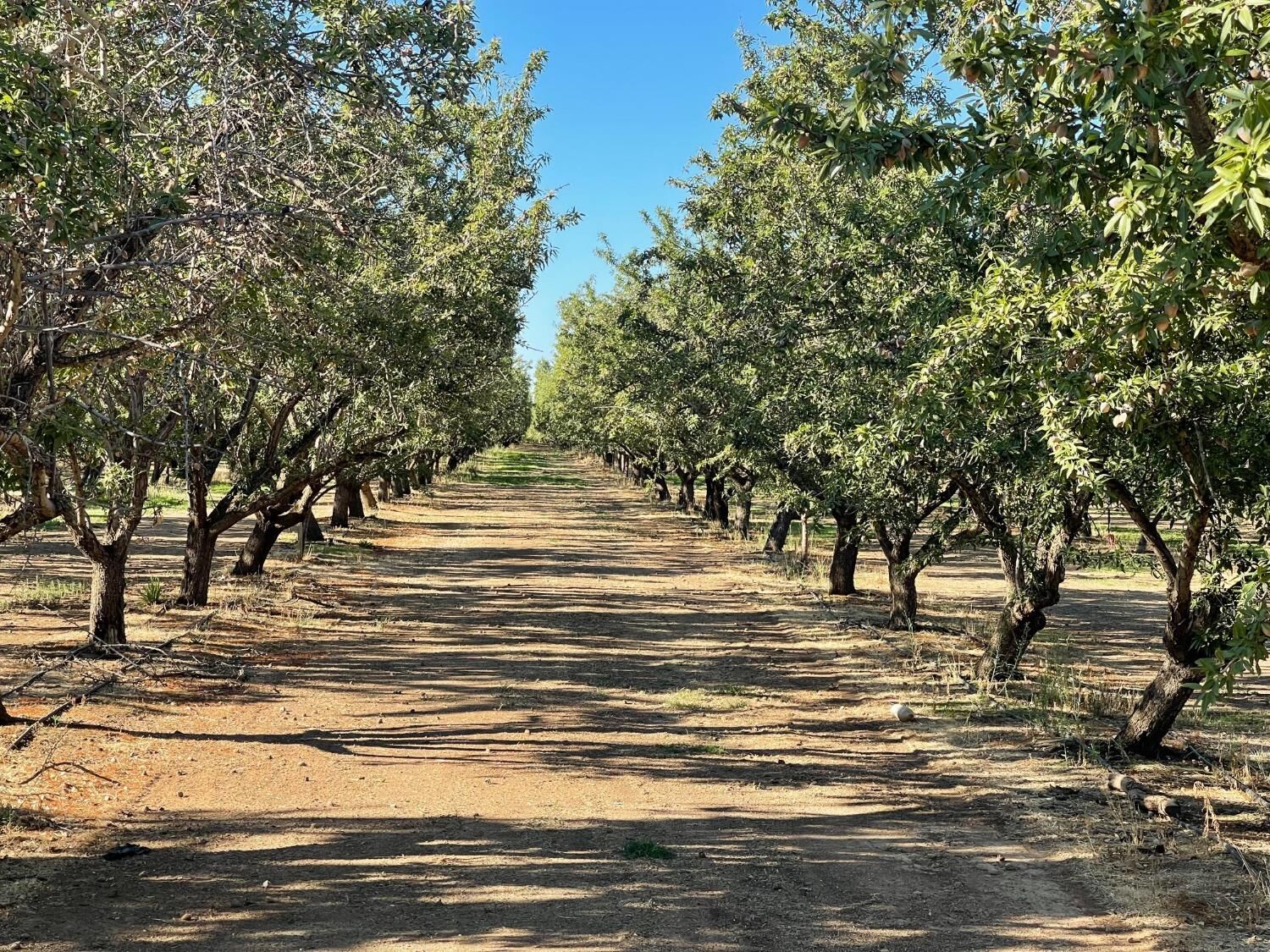 Property Photo: 0 Por Sec13t13n R2w CA 95912