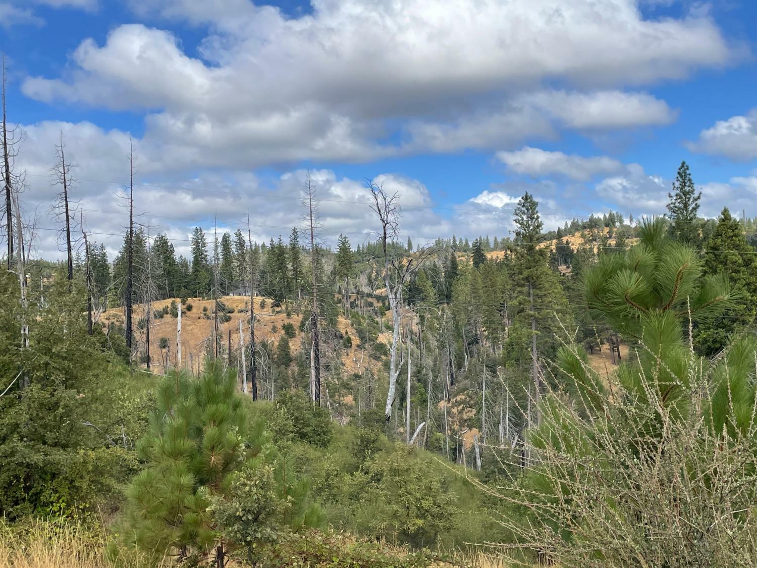 Property Photo:  5716 S Railroad Flat Road  CA 95246 