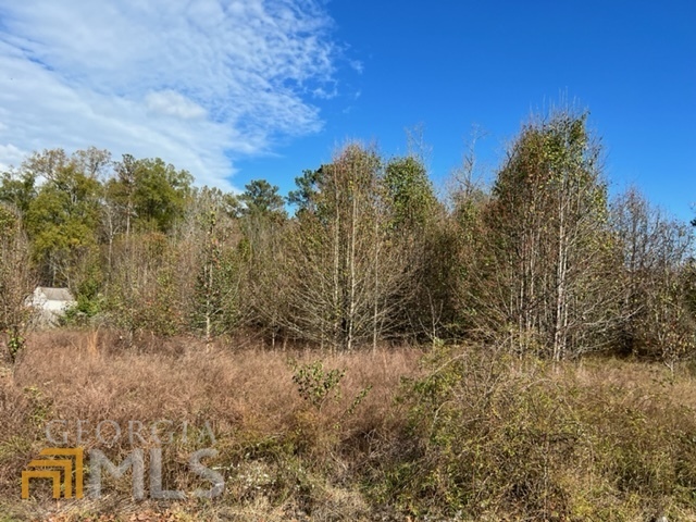 Property Photo:  0 Hunters  GA 30165 