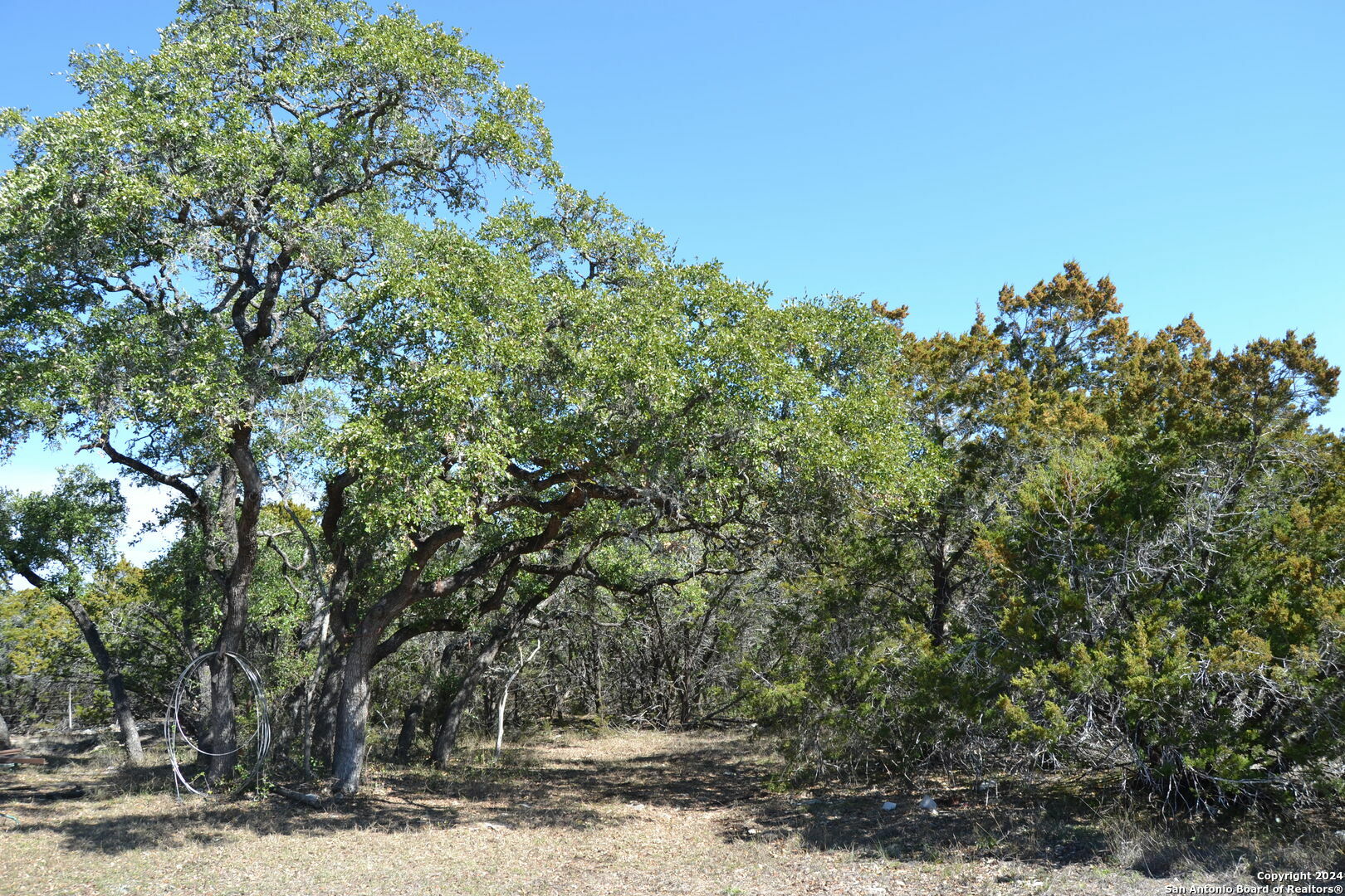 Property Photo:  355 County Road 266  TX 78056 