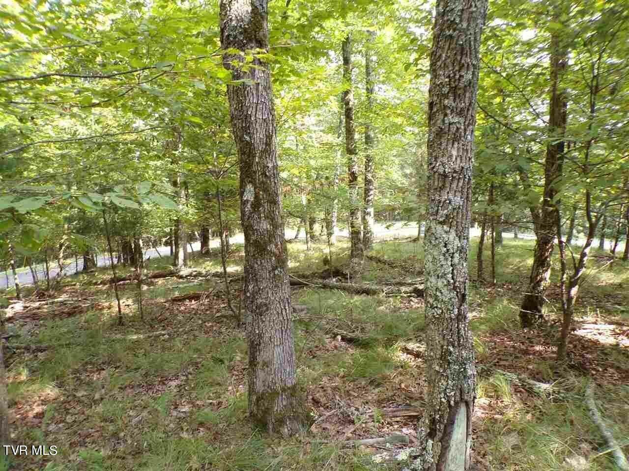 Property Photo:  1433/1437 Echota Lane  TN 37811 