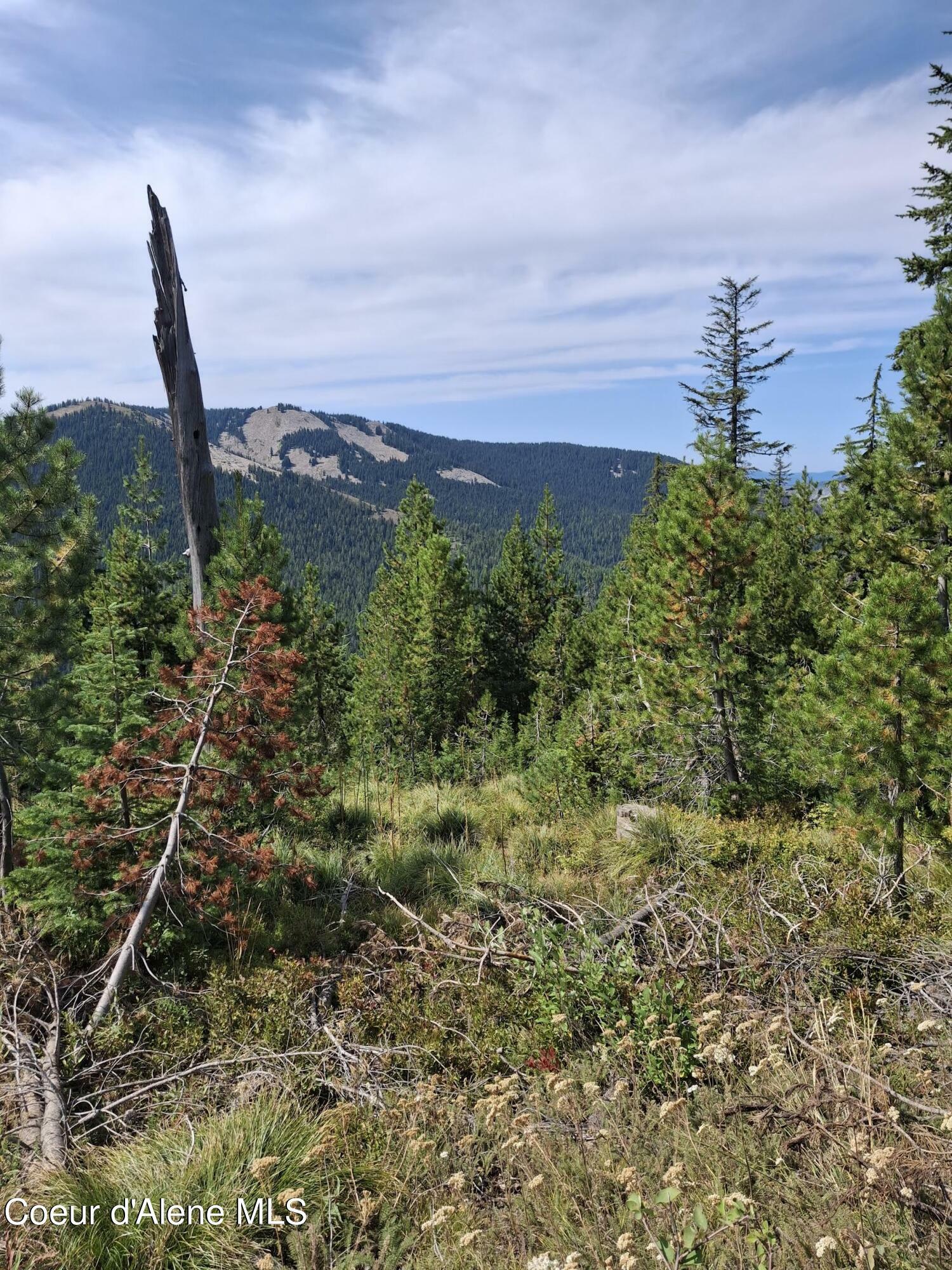 Property Photo:  Nka Eagle Mining District  ID 83874 