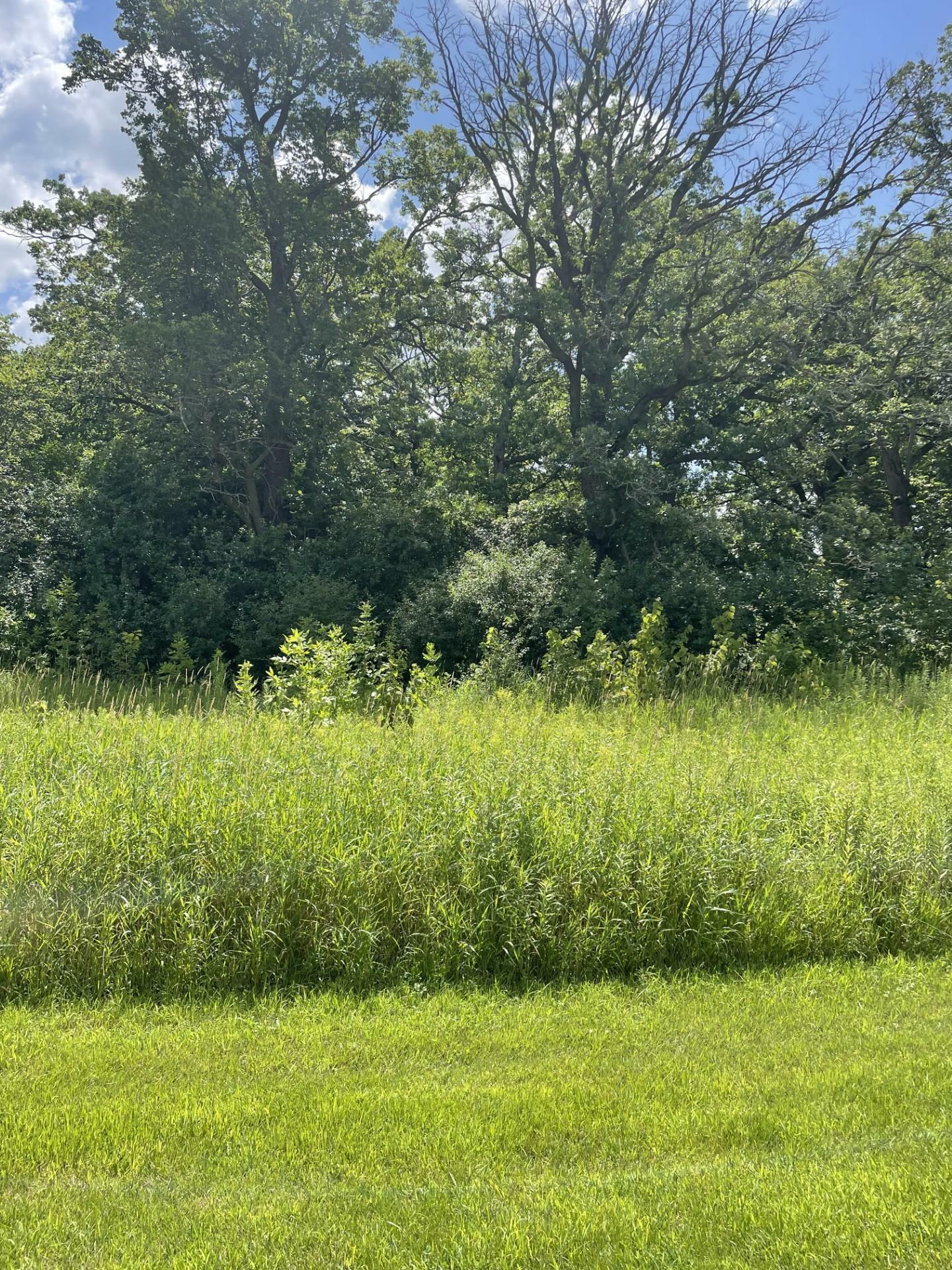 Property Photo:  6580 Park Trail Road  MN 55340 