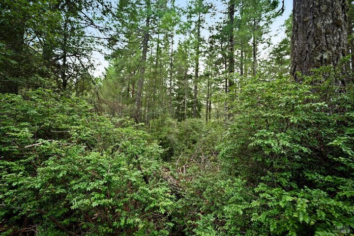 Property Photo:  33538 Iversen Road  CA 95445 