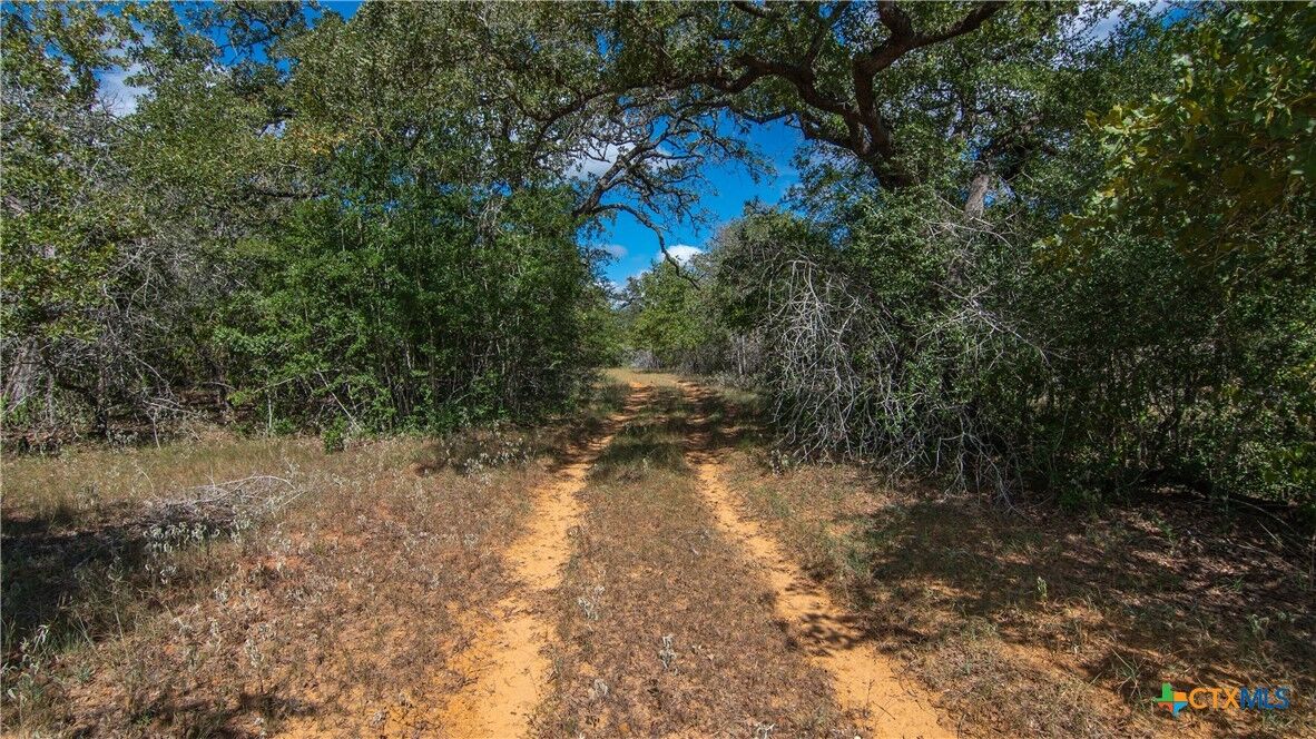 Property Photo:  Tbd County Road 434  TX 78160 