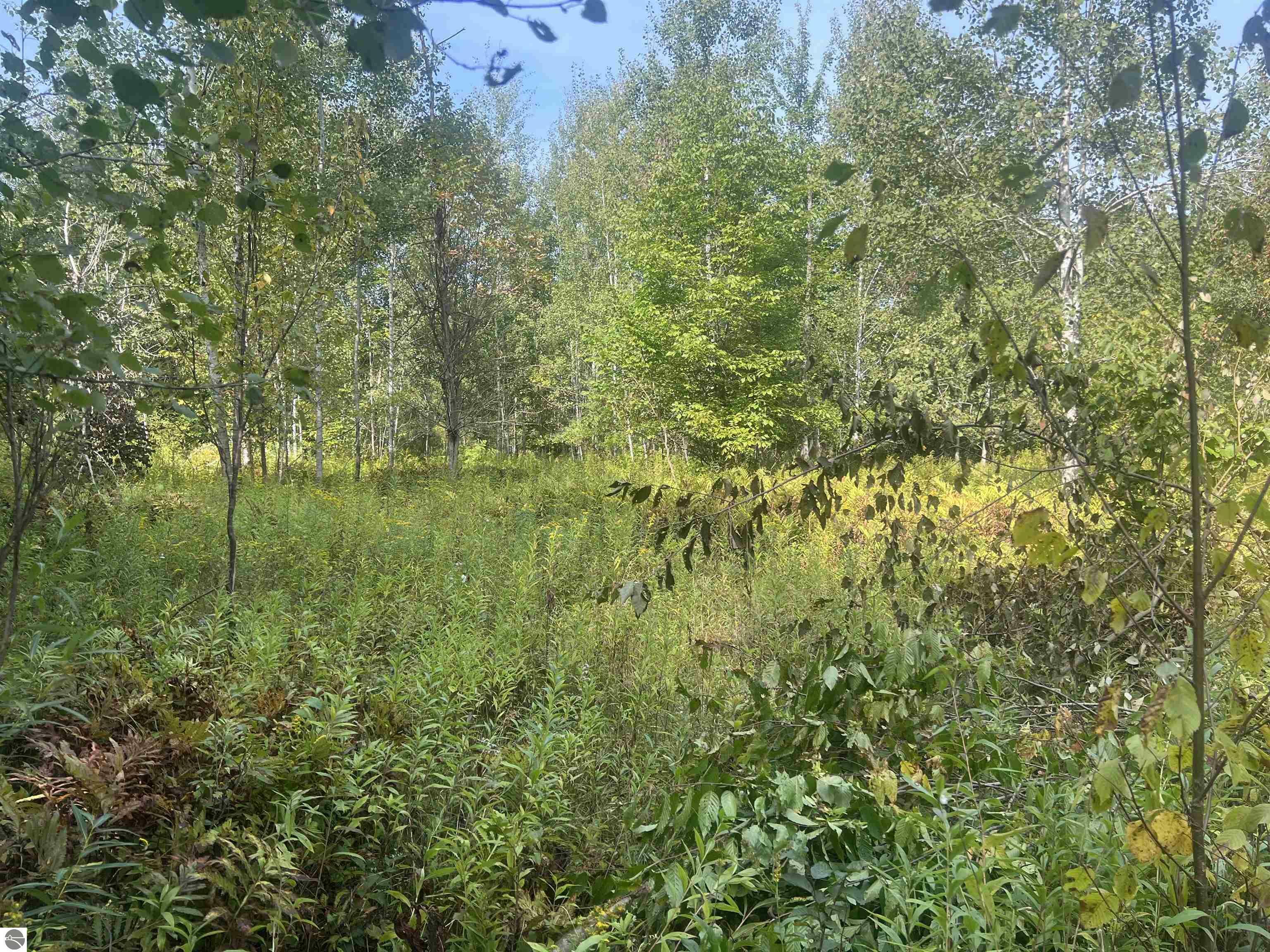 Property Photo:  00 30 1/4 Road  MI 49618 