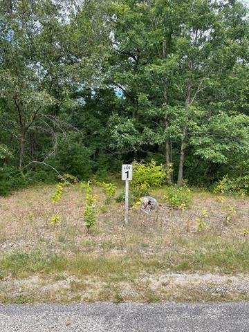 Lot 1 Renaissance Park  Manistee Twp MI 49660 photo