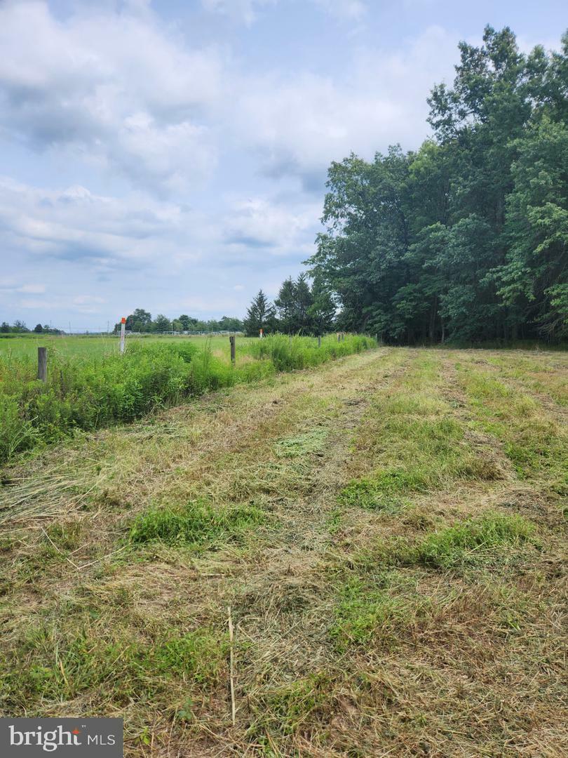 Property Photo:  Old Durham Rd  PA 18947 