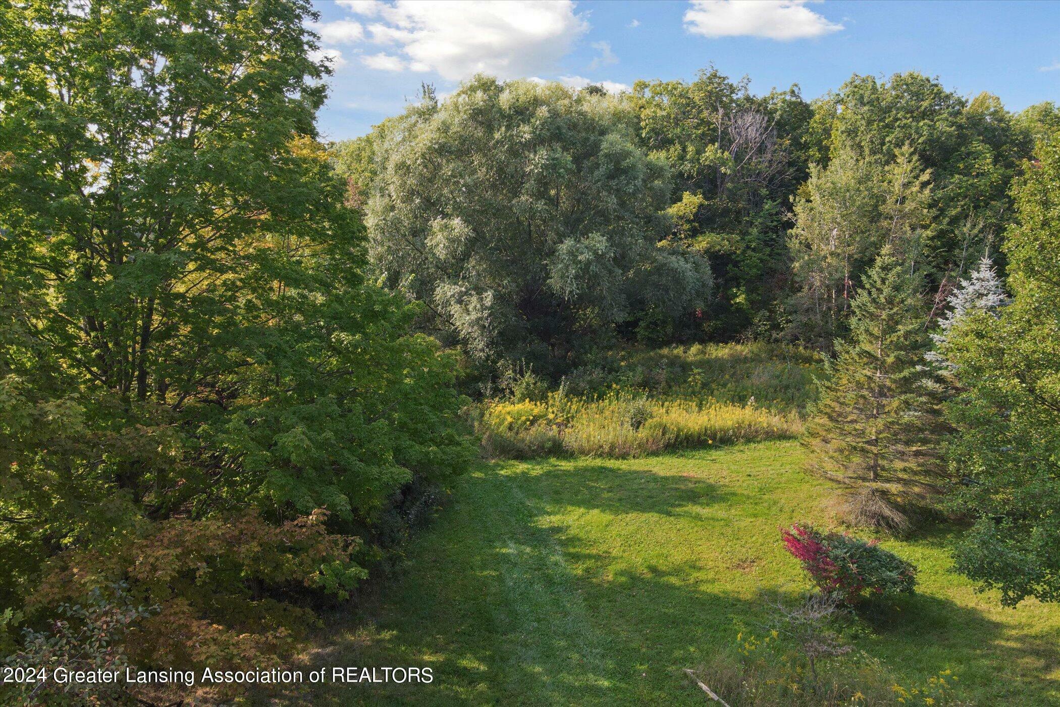 Property Photo:  V/L E Alward Road  MI 48820 