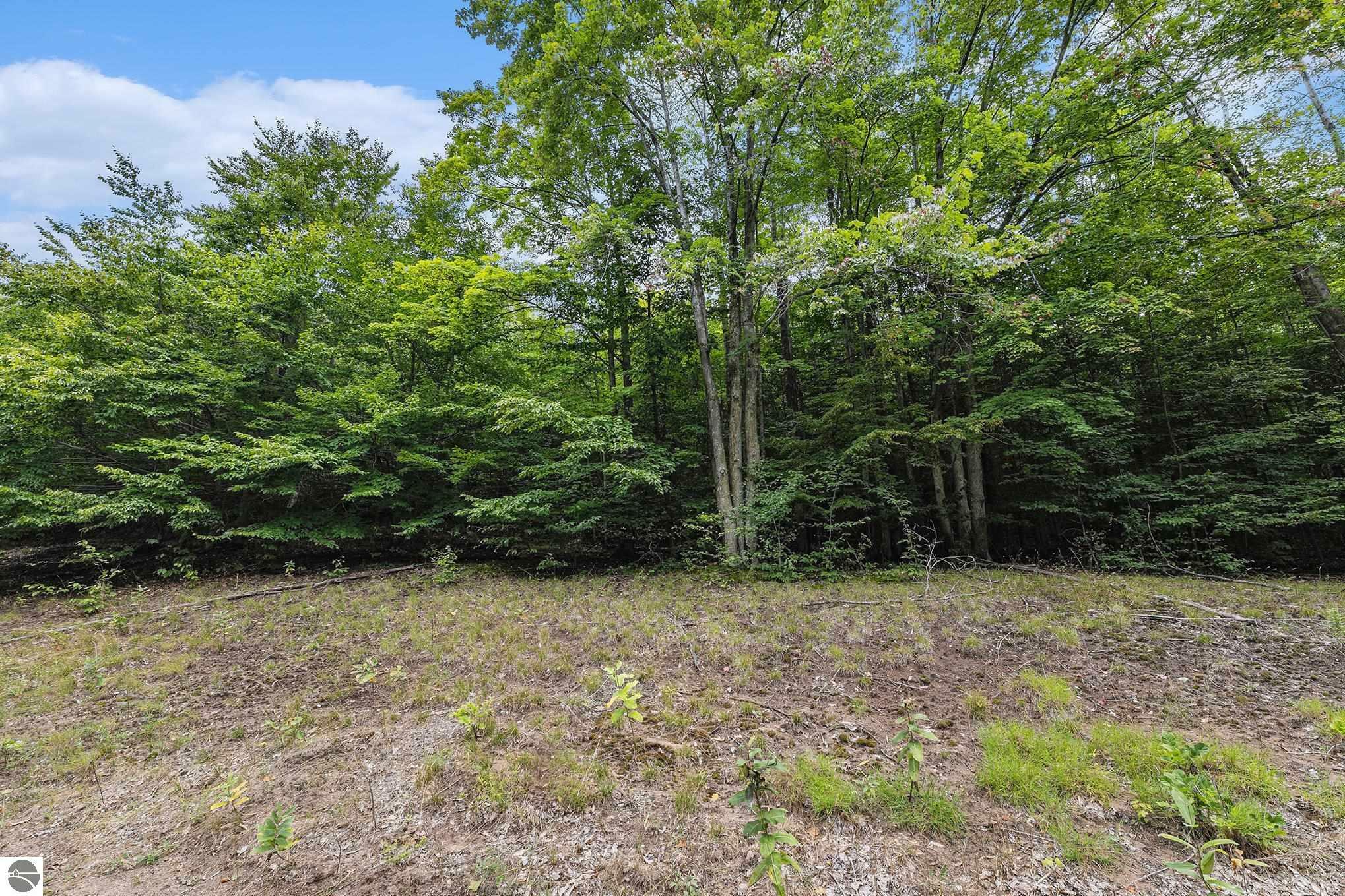 Property Photo:  Lot 12 Mountain Woods Drive  MI 49683 