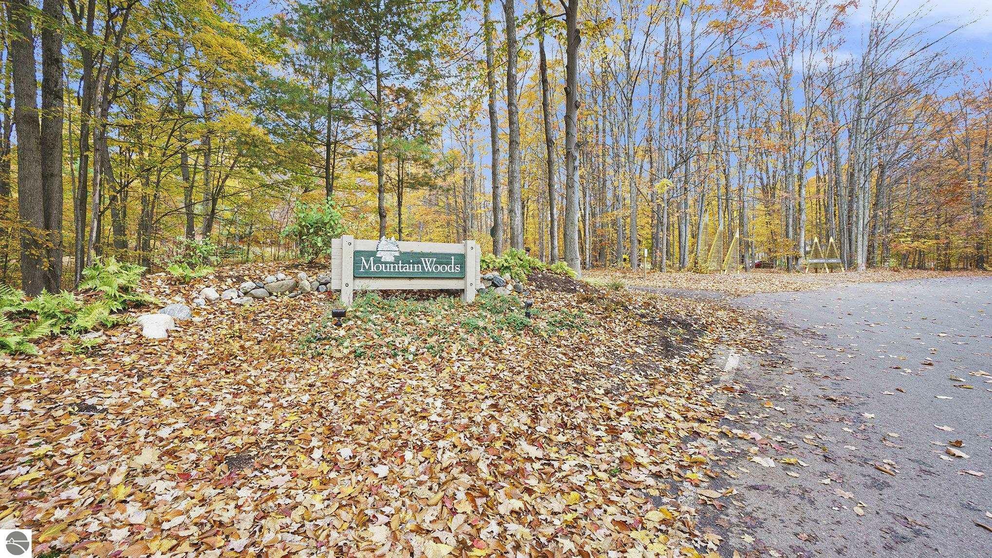 Property Photo:  Lot 12 Mountain Woods Drive  MI 49683 