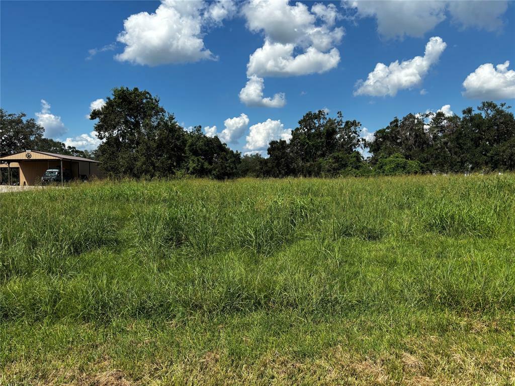 Property Photo:  167 Horse Shoe Trail  TX 77515 