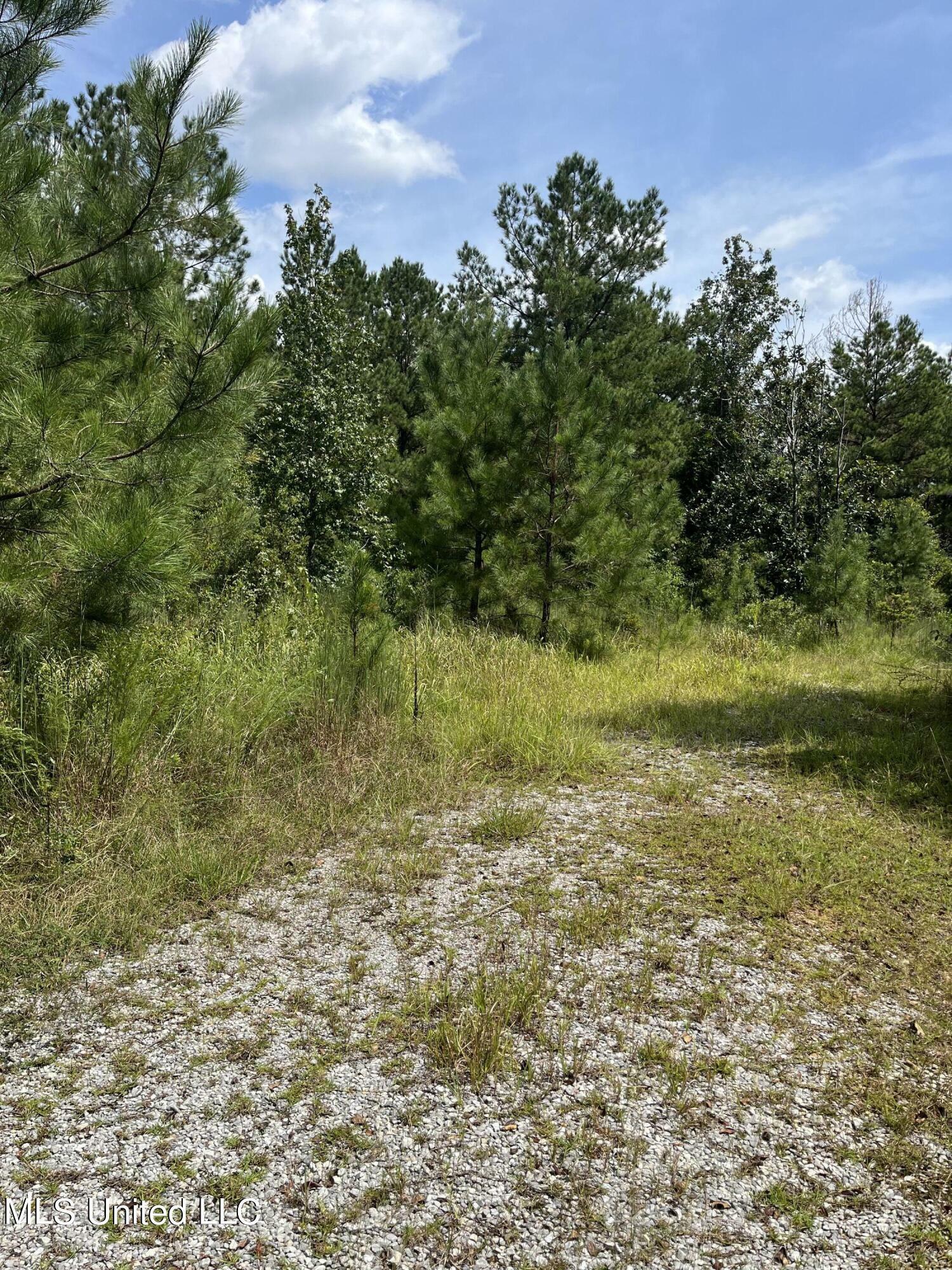 Property Photo:  2126 Salem Campground Road  MS 39452 