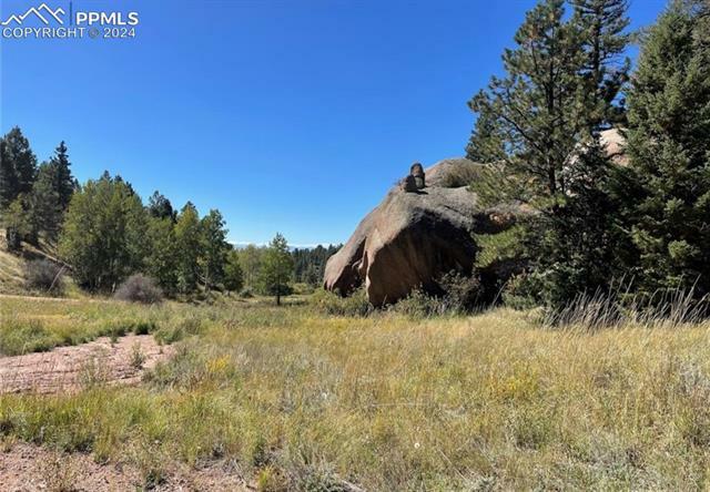 Property Photo:  830 Pinon Lane  CO 80816 