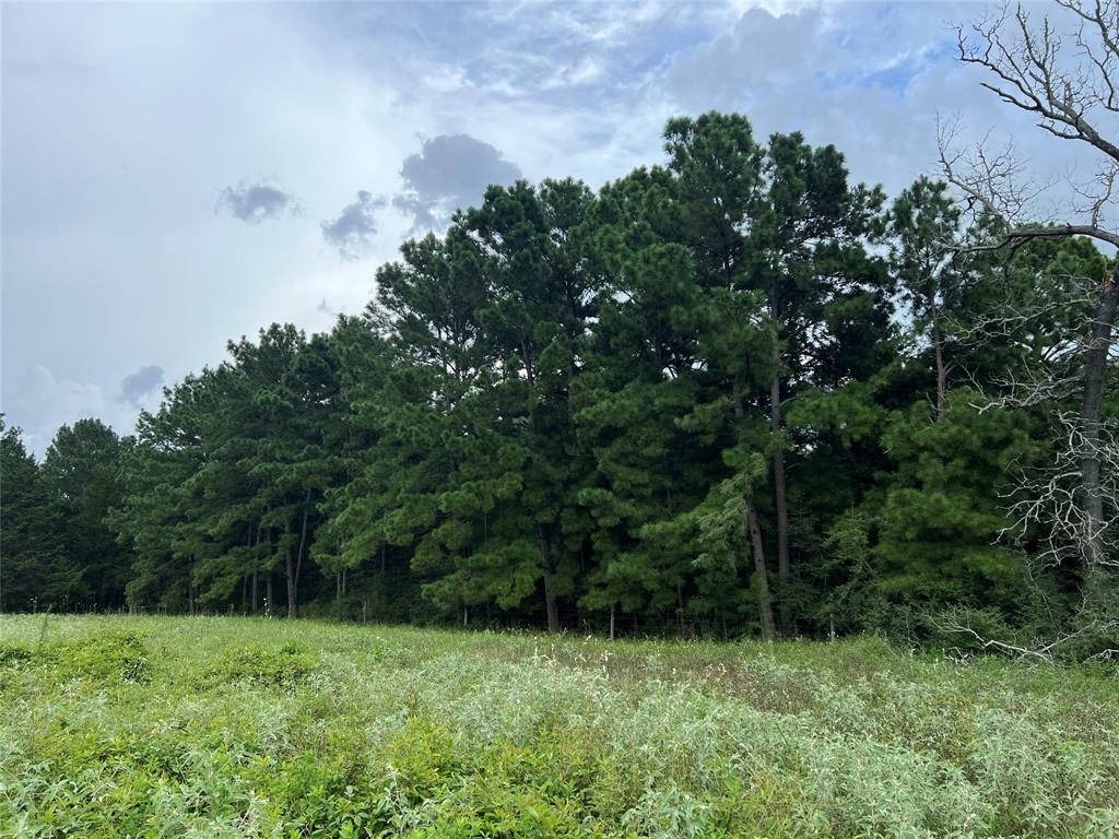 Property Photo:  000 Shunka Road  TX 78950 