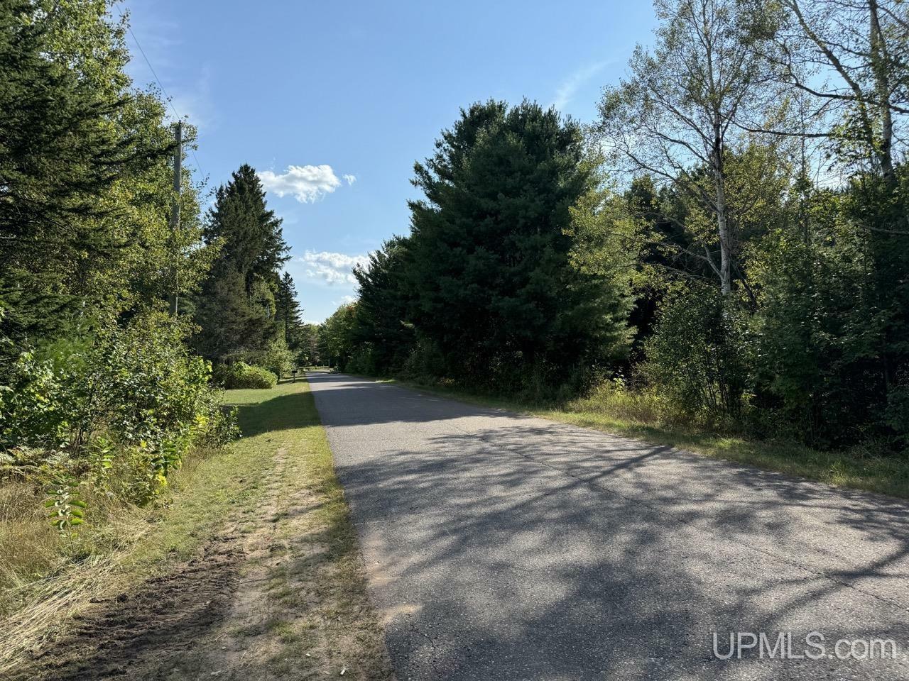 Property Photo:  816 Mangum Road  MI 49855 