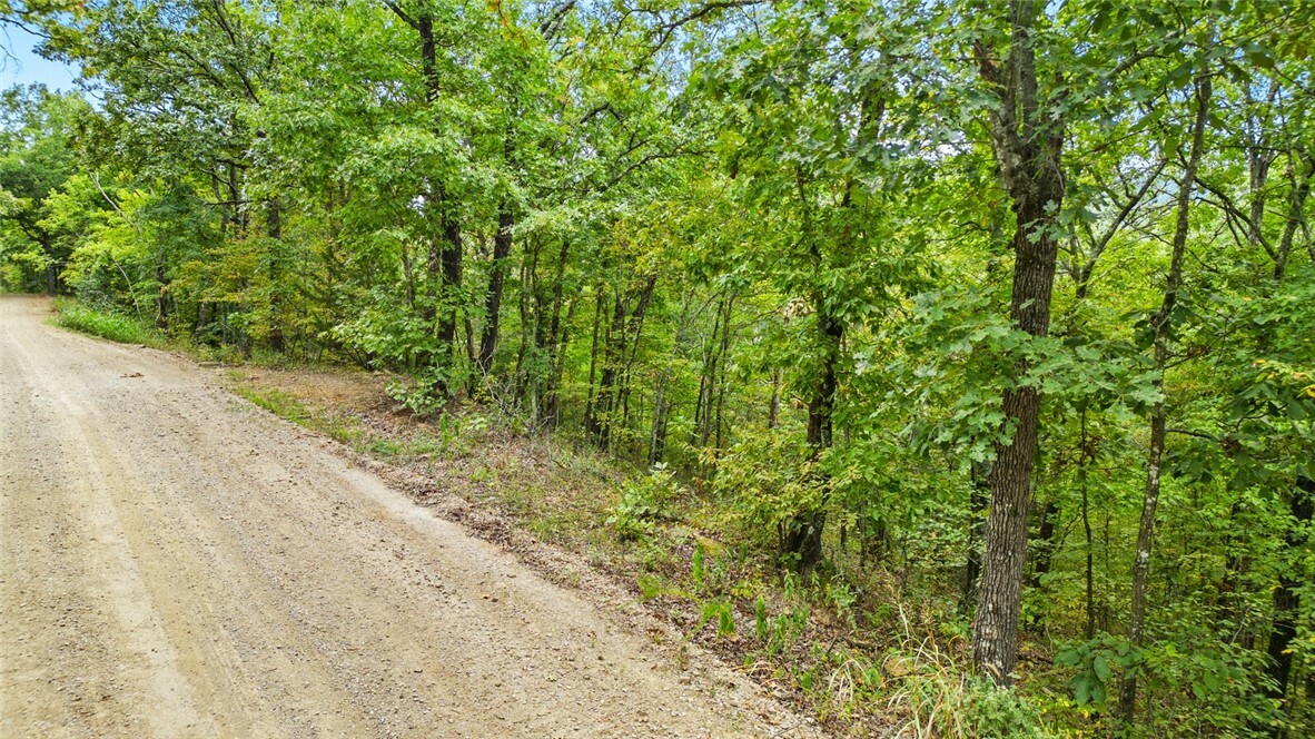 Property Photo:  Mast Rd Hazel Valley  AR 72701 