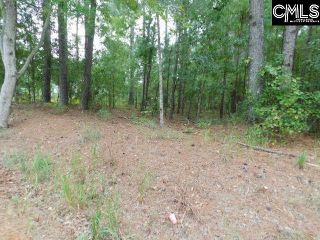 Property Photo:  5260 Cotton Acres  SC 29153 