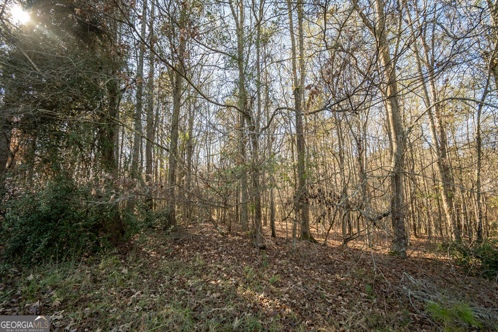 Property Photo:  0 Lavista Road  GA 30549 