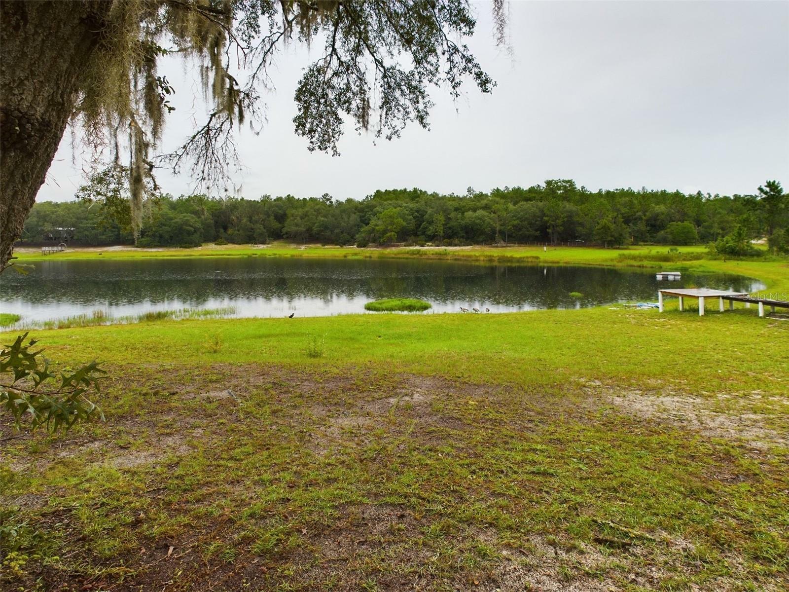 Property Photo: 172 Hour Glass Circle FL 32640