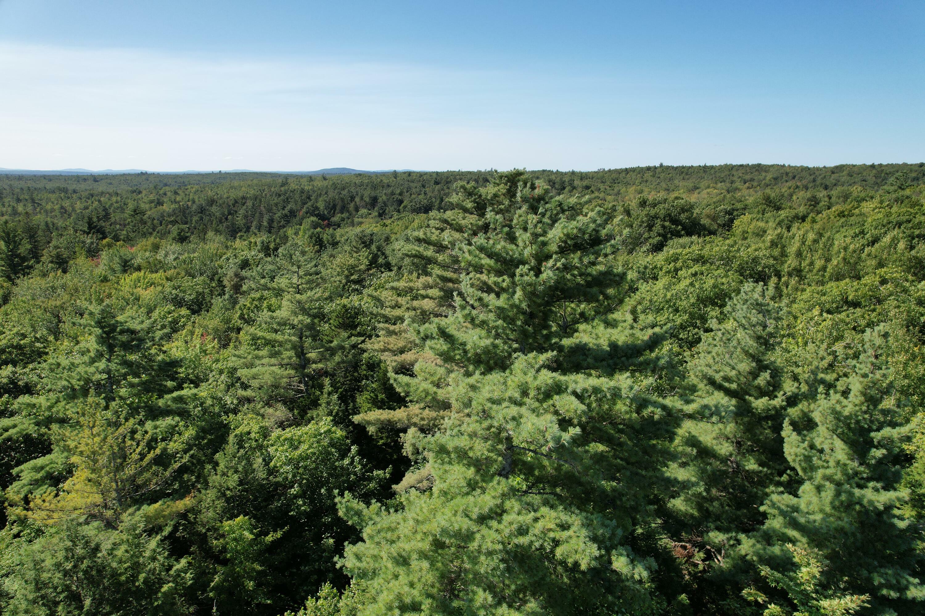 Property Photo:  Lot 53 Robb Hill Road  ME 04694 