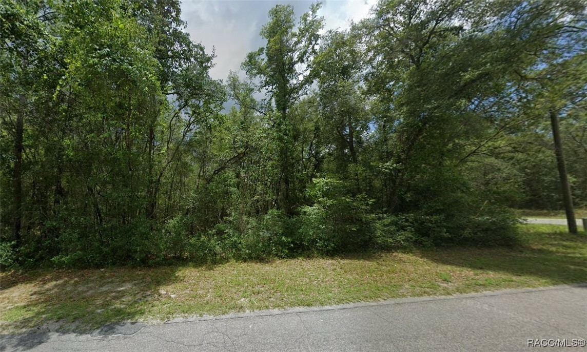 Property Photo:  3188 E Dawson Drive  FL 34453 