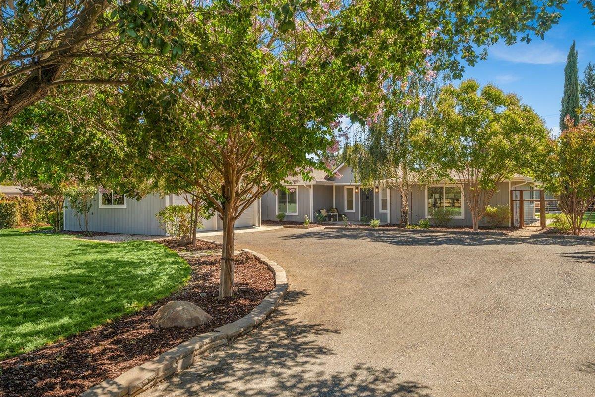 Property Photo:  14695 Murphy Avenue  CA 95046 