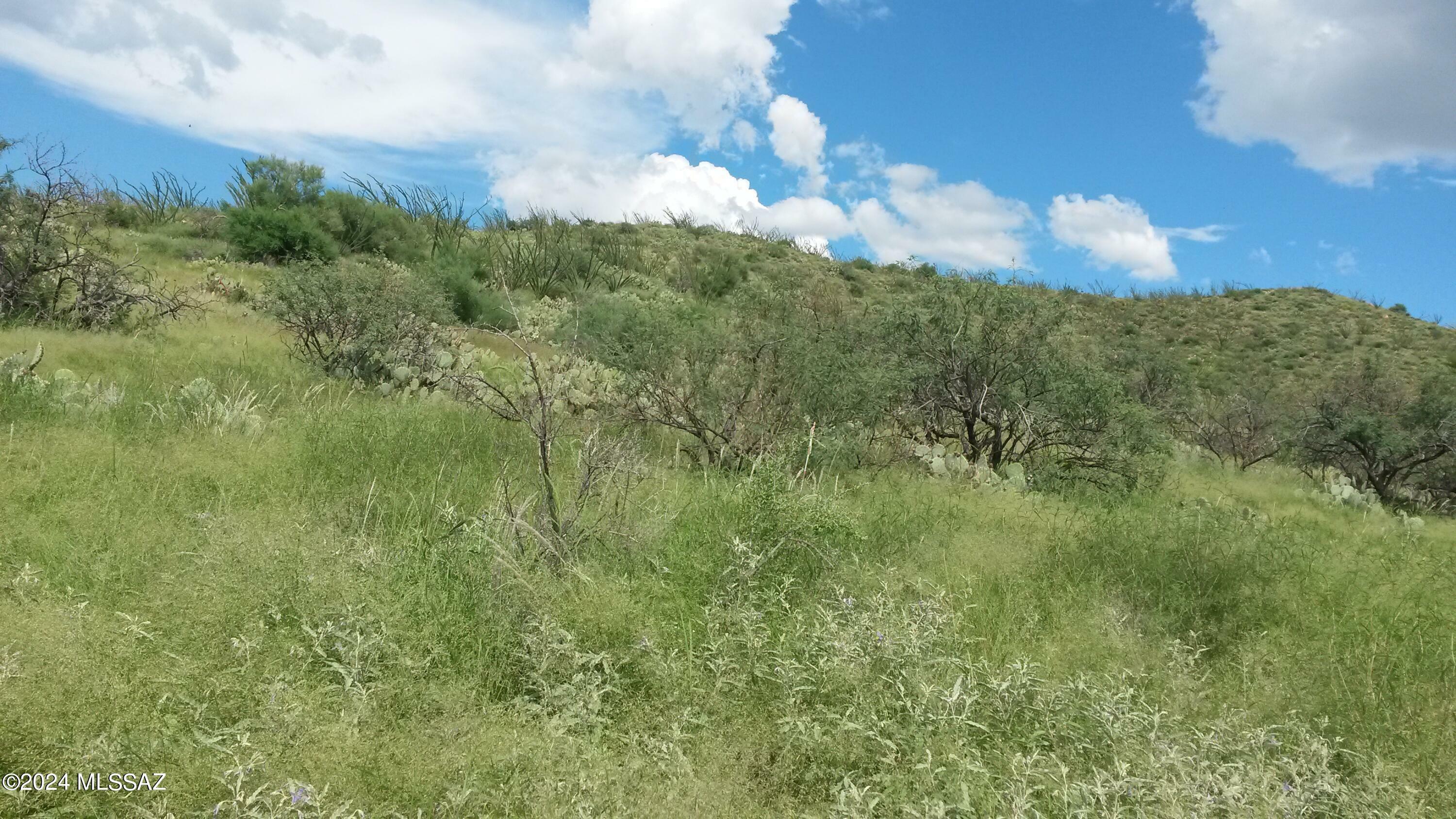 Property Photo:  S Goodenough Trail Lot 2  AZ 85641 