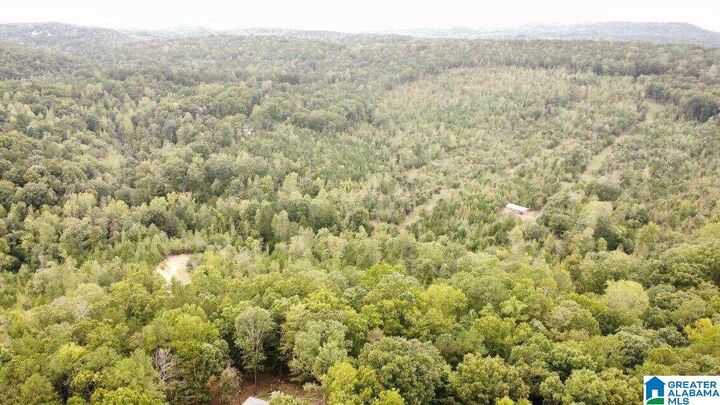 Property Photo: 940 Cedar Creek Road 4 AL 35120