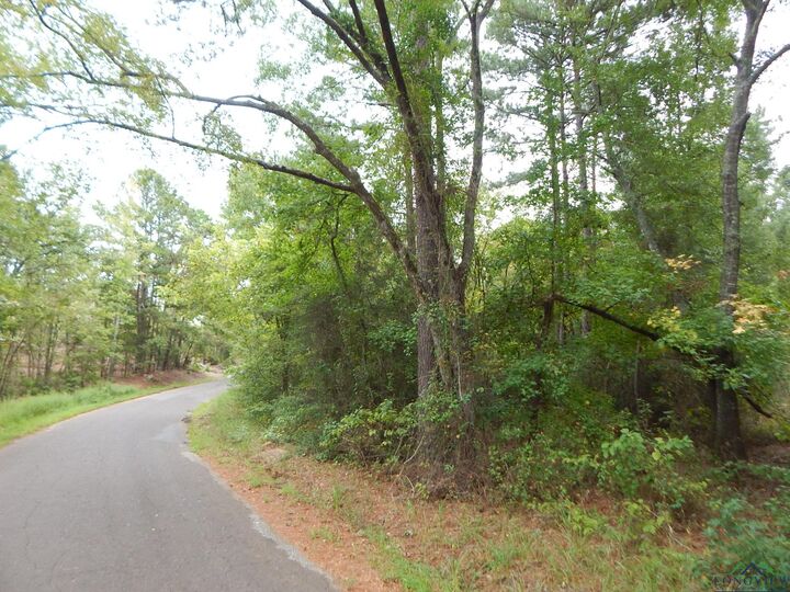 Property Photo:  Tbd 70.78 Red Maple Rd.  TX 75755 